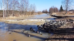 Yle Uutisluokka: Näin kevät eteni Porvoossa (S): 02.06.2016 17.16