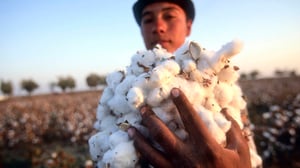 Yle Uutisluokka Triplet: Puuvillaa tuotetaan pakkotyöllä mahdollisesti myös Suomeen (S): 12.12.2016 11.04