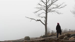 Yle Uutisluokka Triplet: Psykoterapiaa tarjotaan netissä – kokemukset hyviä (S): 16.12.2016 08.44
