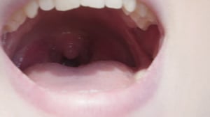 Puhu mummoa: Niin metsä vastaa kuin sinne huudetaan!: 20.12.2016 11.41