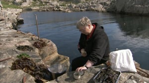 Majakan kaksi puutarhaa: 12.06.2016 12.35