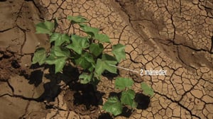 Laatua lyhyesti: 14.07.2016 20.26