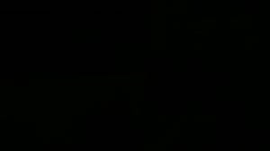 BUU-klubben: Peppi Pitkätossu: 20.11.2016 08.30