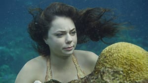 Mako Mermaids (S): 20.06.2016 11.00