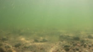 Itämeri pintaa syvemmältä: 22.07.2016 20.25