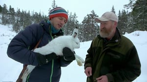 Schrödingerin kissa: 10.11.2016 20.00