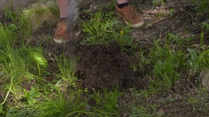 BUU-klubben: Bonifatius ja kesä: 22.06.2016 18.00