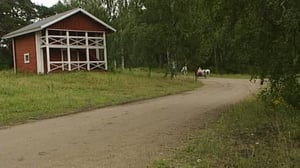 I-hah-haa: 05.08.2016 07.34