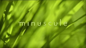 Ruohonjuuritasolla (S): 14.06.2016 18.53