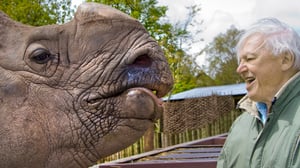 Luontohetki: Attenborough'n erikoiset: 18.06.2016 09.35