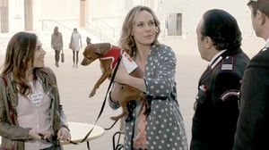 Isä Matteon tutkimuksia (7): 05.09.2016 18.00