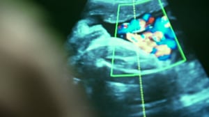 MOT: Tappavia kemikaaleja - sallittu!: 21.11.2016 20.00