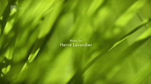 Ruohonjuuritasolla (S): 28.06.2016 18.52