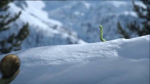 Ruohonjuuritasolla (S): 04.10.2016 18.52