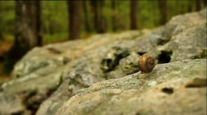 Ruohonjuuritasolla (S): 11.10.2016 18.51