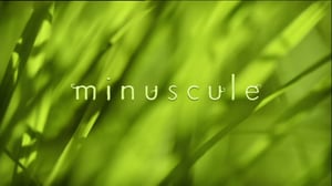 Ruohonjuuritasolla (S): 26.07.2016 18.53