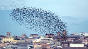 Prisma: Taivaan valloitus: 15.06.2016 19.00