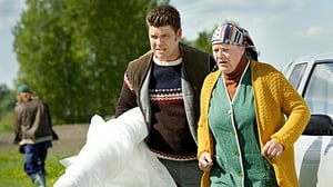 Kotikatsomo: Alavilla mailla hallanvaara (7): 21.08.2016 21.05