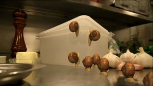 Ruohonjuuritasolla (S): 27.09.2016 18.51