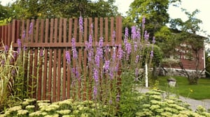 Tähtien ja tähteiden parhaat: 23.06.2016 12.00