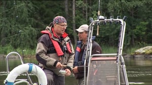 Erätulilla - kalavesillä: 05.07.2016 08.04