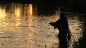 Erätulilla - kalavesillä: 05.07.2016 08.08