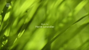 Ruohonjuuritasolla (S): 07.06.2016 18.53