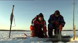 Erätulilla - kalavesillä: 14.11.2016 08.50