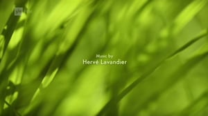 Ruohonjuuritasolla (S): 13.09.2016 18.51