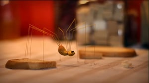 Ruohonjuuritasolla (S): 20.09.2016 18.51