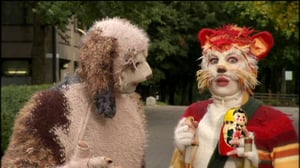 Liikunnan riemua Pikku Kakkosessa: Katinkontti: 21.06.2016 14.00