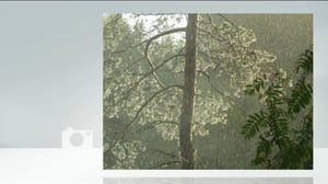 Yle Uutisluokka Triplet: Yleisön valokuvat aamu-tv:ssä (S): 05.08.2016 10.51