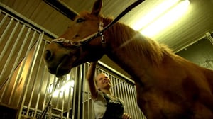 Tulossa!: Villien Toiveiden Virasto: 20.08.2016 07.00