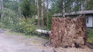 Yle Uutisluokka Triplet: Rauli-myrsky katkaisi sähköt jopa 200 000 taloudelta (S): 29.08.2016 10.34