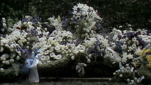 Viikon vanhat: Viikon vanhat - uutisia 30 vuoden takaa (S): 10.09.2016 10.00