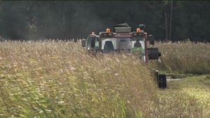 Luonto lähellä: 12.09.2016 09.21