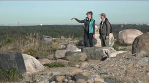 Luonto lähellä: Vuosaaren maisemoitu täyttömäki: 26.09.2016 08.52