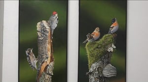 Luonto lähellä: Luonto lähellä 21.11.: 21.11.2016 08.35