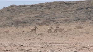 Luonto lähellä (S): 28.11.2016 08.24