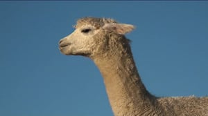 Luonto lähellä: 12.12.2016 08.28