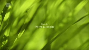 Ruohonjuuritasolla (S): 06.09.2016 18.51