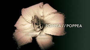 Poppea: 19.11.2016 18.36