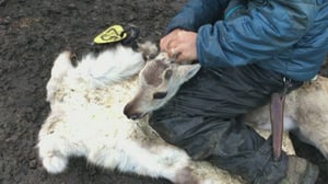 Yle Oddasat: 04.01.2017 15.15