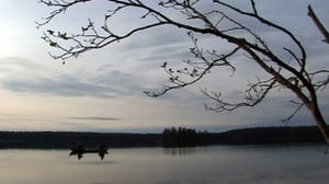 Erätulilla - kalavesillä: 05.07.2016 08.01