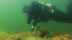 Itämeri pintaa syvemmältä: 28.07.2016 20.25