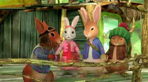 Petteri Kaniini (S): 17.09.2016 08.46