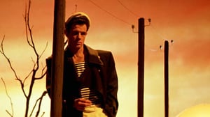 Kino: Querelle (16): 29.06.2016 22.10