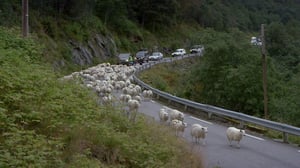 Suojaisa laakso: 26.07.2016 19.45