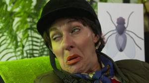 Pax maan kamaralla (S): 13.09.2016 18.30