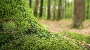 Ruohonjuuritasolla (S): 23.08.2016 18.50